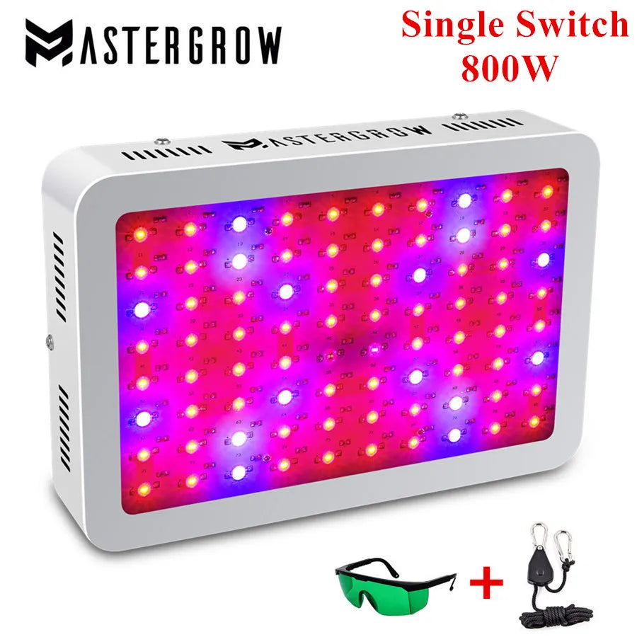 Diamond II Series LED Lamps