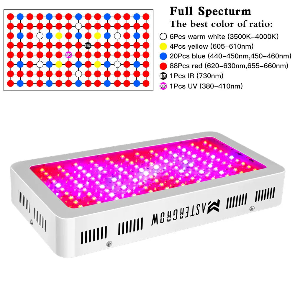 Growbox Komplettset Large 120x120x200