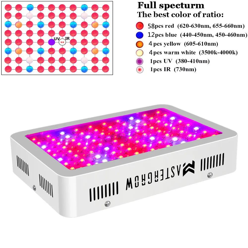 Growbox Komplettset Medium 80x80x160