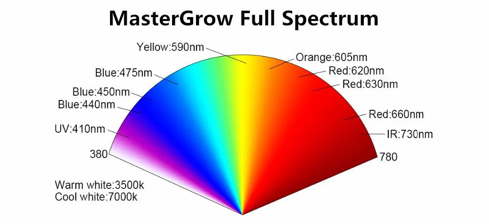 Growbox Komplettset Small 50x50x100