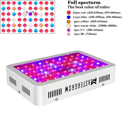 Growbox Komplettset Small 50x50x100